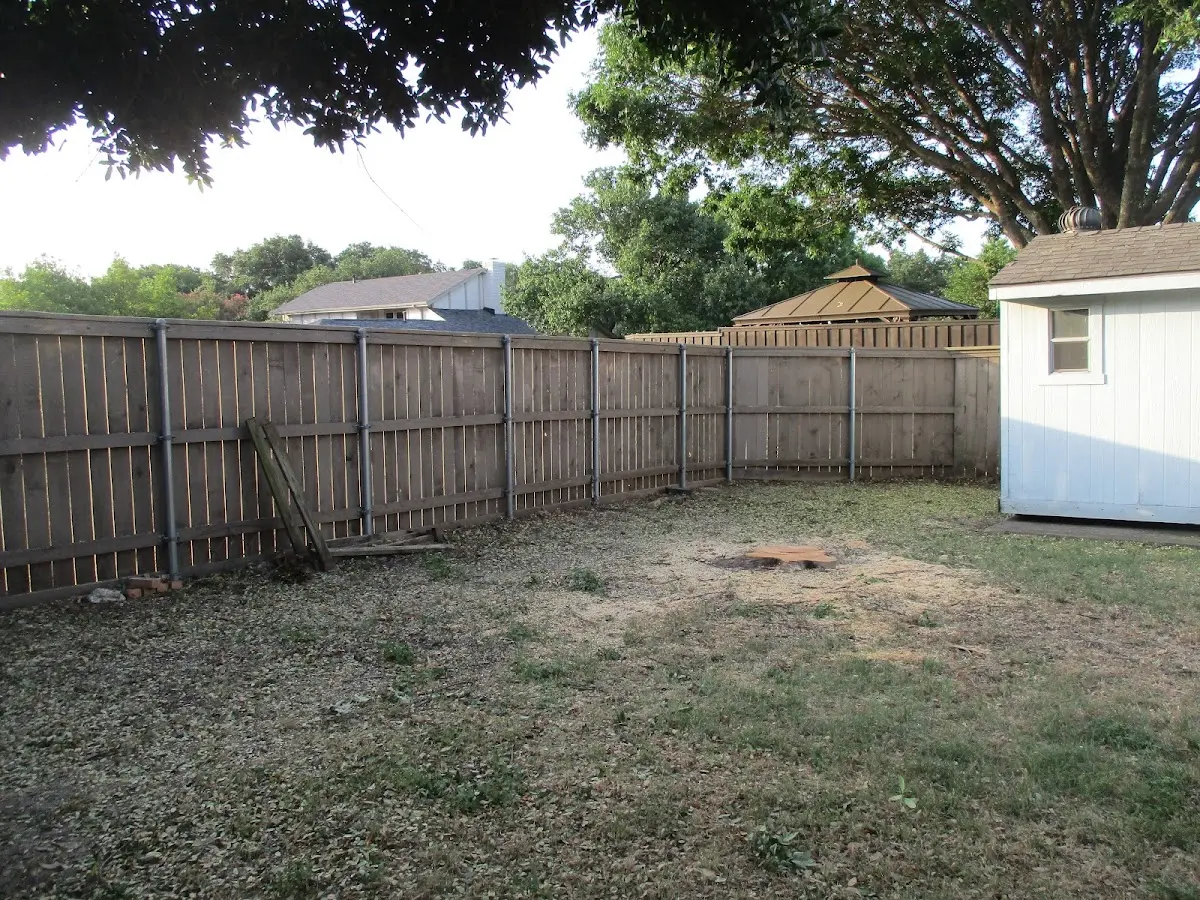 Cleared yard after professional tree removal in South West City